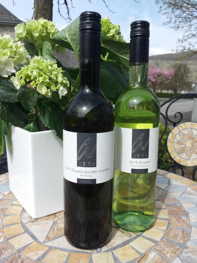 ホテル Weingut Weich Riol エクステリア 写真