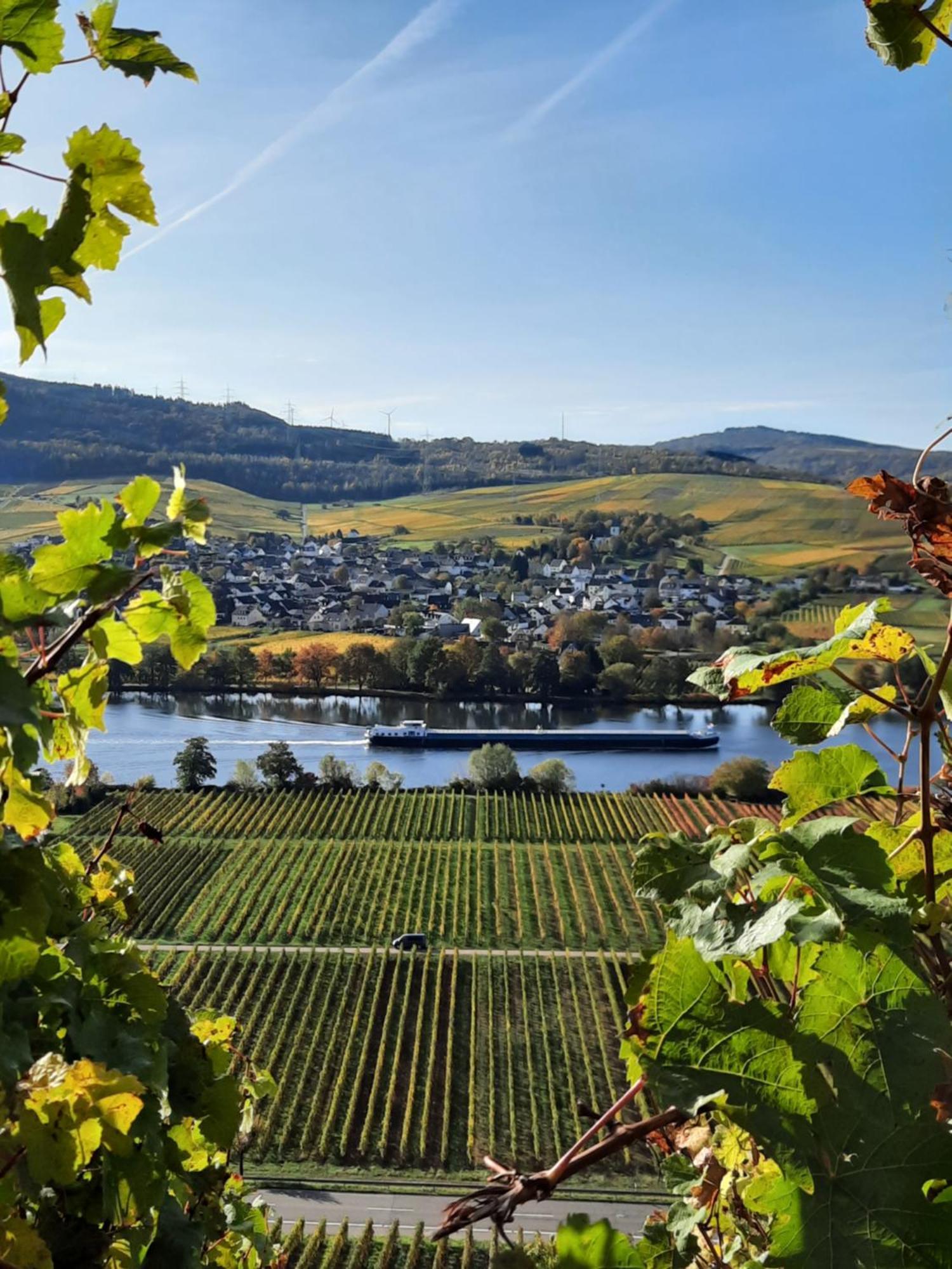 ホテル Weingut Weich Riol エクステリア 写真